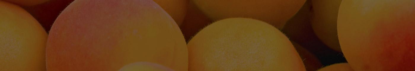Whats in Season? Spring: Fruit
